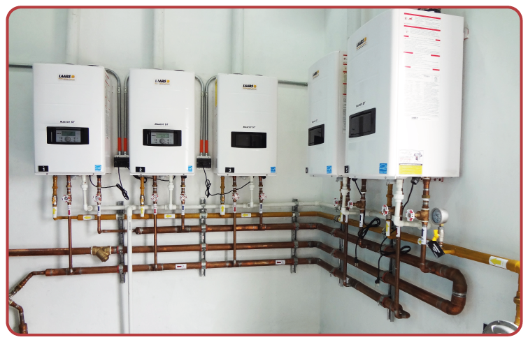 Proyecto Tuliv el polo