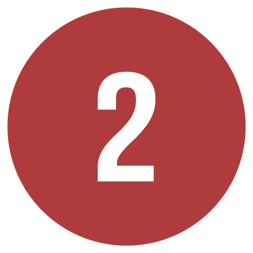 Diagnóstico Profesional