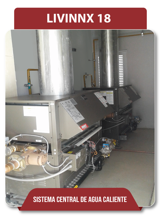 Proyecto Livinix 18