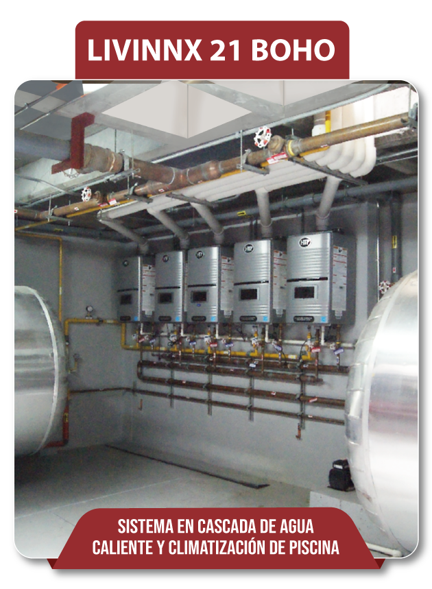 Proyecto Livinix 21 Boho